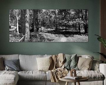 Leuvenumse bos panorama in zwart-wit van Gerard de Zwaan