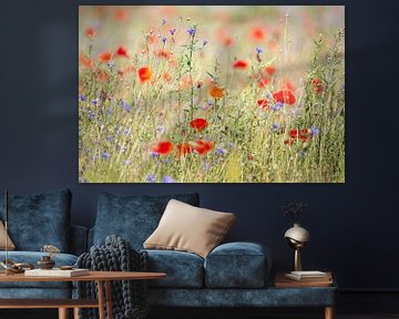 Field full of wild flowers and poppies by Evelien Oerlemans