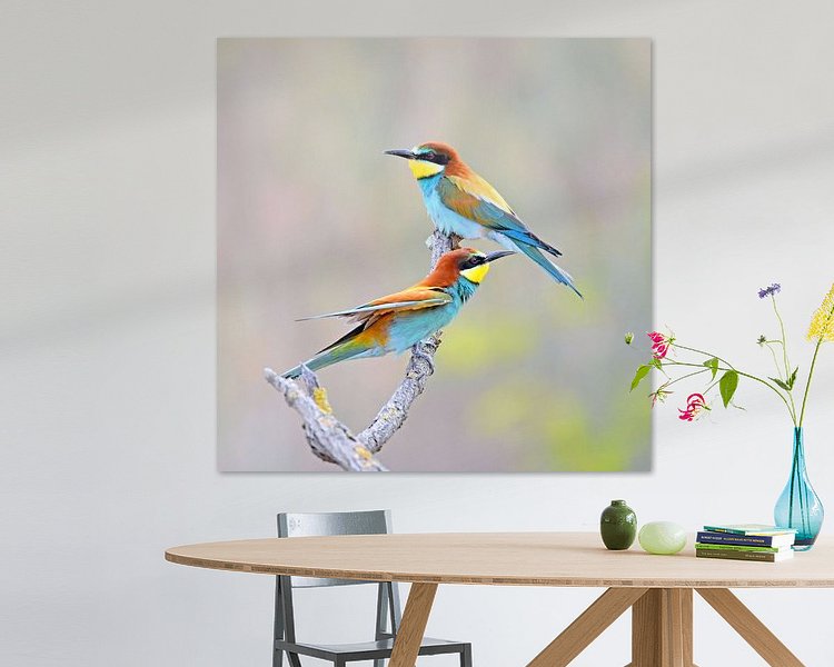 Aperçu de la chambre