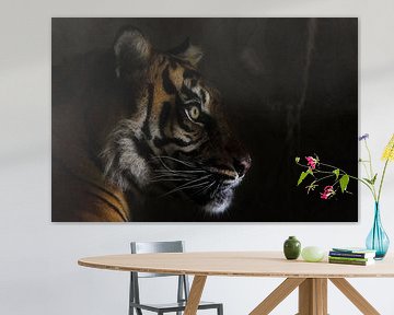 Sumatra-Tiger von Bas Alstadt Fotografie