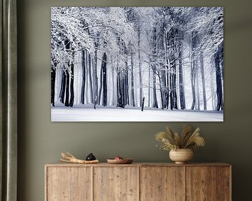 WinterBos