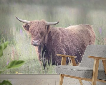 schotse hooglander in hoge gras van natascha verbij