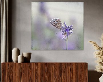 Schmetterling im Antik-Look von natascha verbij