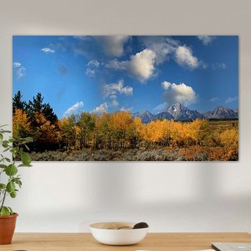 photo panoramique du parc national de Grand Teton, Wyoming USA