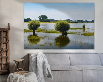 Extensive areas of the river IJssel by Greta Lipman