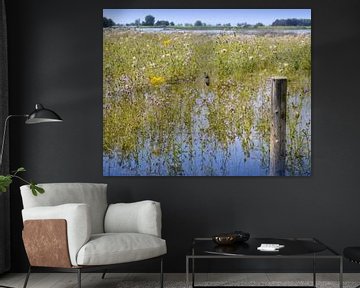 Zwaluw aan de rivier de IJssel van Greta Lipman