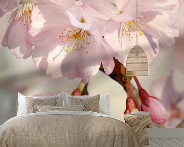 Japanese cherry blossom by Violetta Honkisz