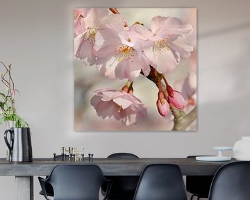 Japanese cherry blossom by Violetta Honkisz