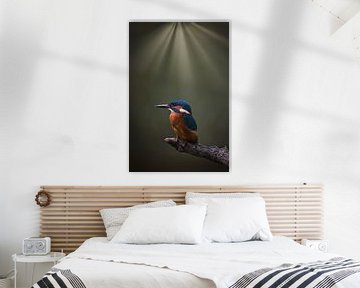 Kingfisher in Spotlight by Maurice van de Waarsenburg