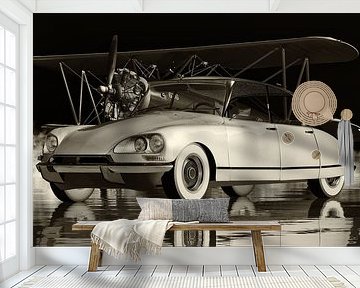 Citroen DS-23 Einspritzung Pallas - Ein französisches Luxusauto von Jan Keteleer