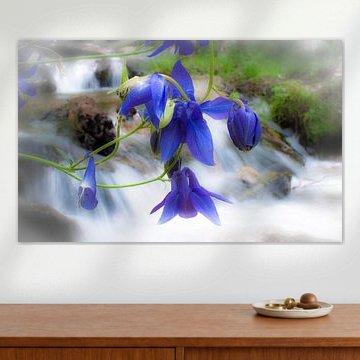 Flowers at waterfall