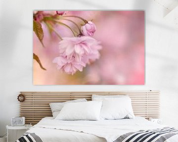 Blossom of the Japanese cherry by KB Design & Photography (Karen Brouwer)