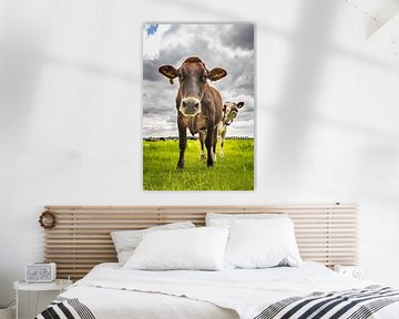 Speelse koeien in Brabant van Ricardo Van diggelen