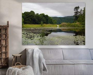 Lily Pond at Plodda Falls. by Babetts Bildergalerie