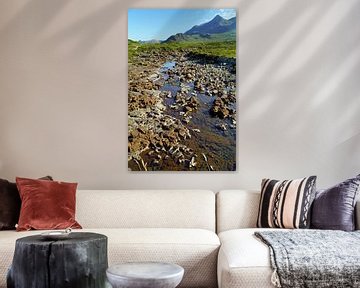 Riverbed Sligachan Schotland, Verenigd Koninkrijk van Babetts Bildergalerie