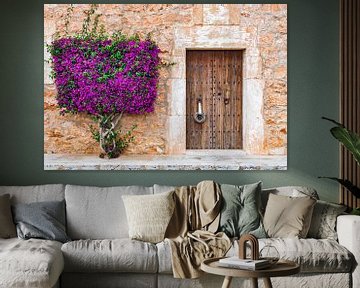 Idyllic view of mediterranean house front door with beautiful bougainvillea flowers by Alex Winter