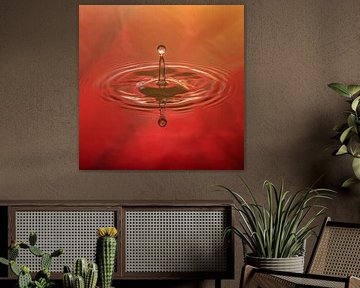 Tropfen in rotem Wasser von Thomas Heitz