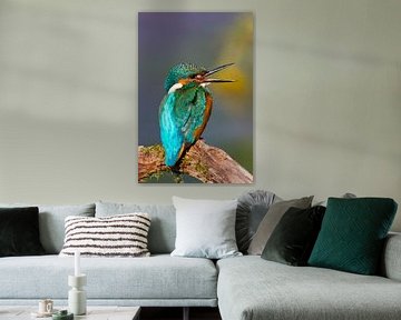 Kingfisher centrale européenne van Ursula Di Chito