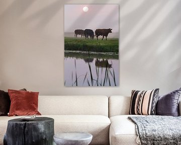 Koeien in de mist langs de Haarlemmertrekvaart van Menno van Duijn