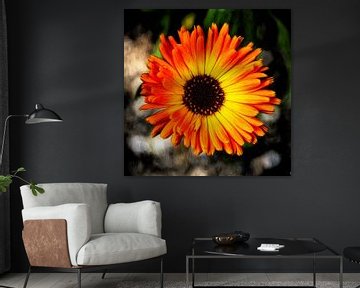 Gerbera van Dick Jeukens