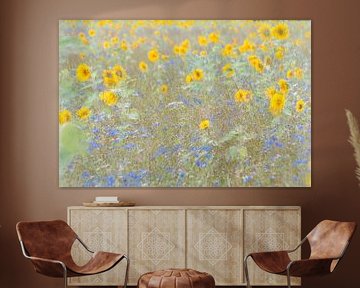 zonnebloemenveld