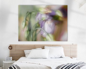 bloemen met meervoudige belichting
