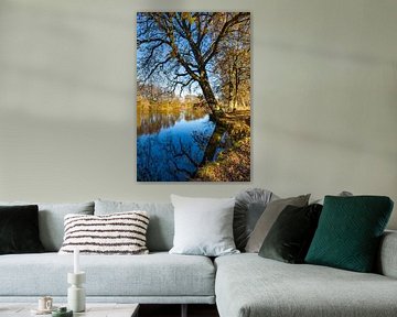 Prachtig uitzicht op het water van het meer met loofbomen, vallende herfstbladeren en blauwe zonnige van Alex Winter