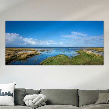 Marais salé dans la mer des Wadden 1