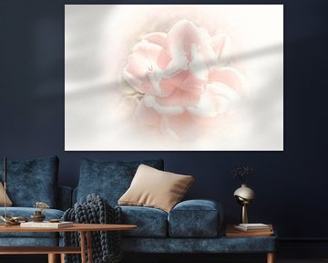 Rose en pastel sur Consala van  der Griend