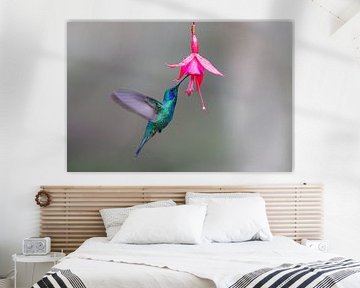 Kolibri neben der Blume von Henk Bogaard