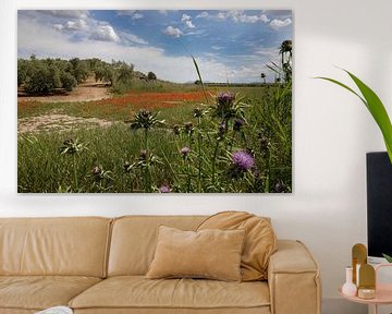 Olive grove and wild flowers in Spain by Hennnie Keeris