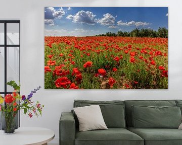 Field with poppies in Andalusia, Spain. by Hennnie Keeris