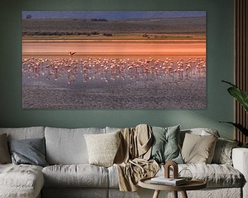 Flamingos auf Futtersuche am See von Fuente de Piedra. von Hennnie Keeris