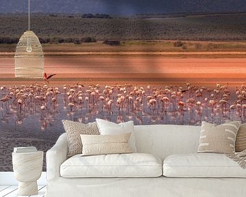 Flamingos forage at the lake of Fuente de Piedra. by Hennnie Keeris