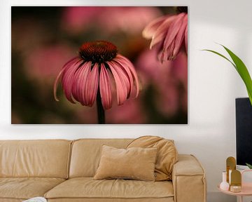 Beautiful atmospheric red sunflower flower by KB Design & Photography (Karen Brouwer)