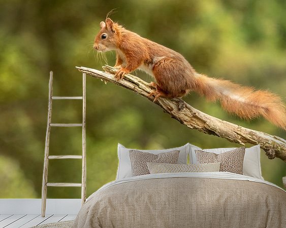 Voorbeeld van het werk in een kamer