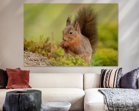 Aperçu de la chambre