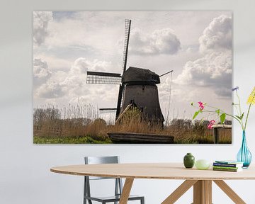 Molen van Dana Oei fotografie