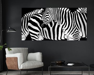 Confusing Zebra Stripes by Monika Jüngling