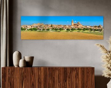 Panorama van Sineu op Majorca, Spanje van Alex Winter
