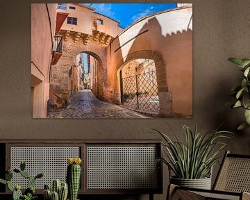 Palma de Majorca, panorama uitzicht op straat in de oude stad van Palma, Spanje van Alex Winter