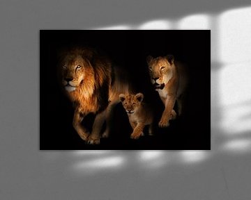 Lion family van Bert Hooijer