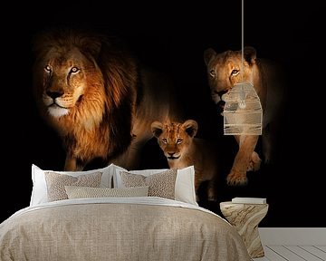 Lion family by Bert Hooijer