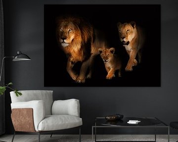 Lion family van Bert Hooijer