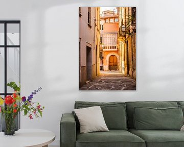 Narrow street at the old town of Palma de Mallorca, Spain by Alex Winter