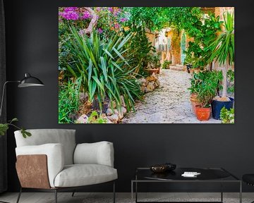 Maison méditerranéenne avec jardin de beaux pots de fleurs et de plantes en pot sur Alex Winter