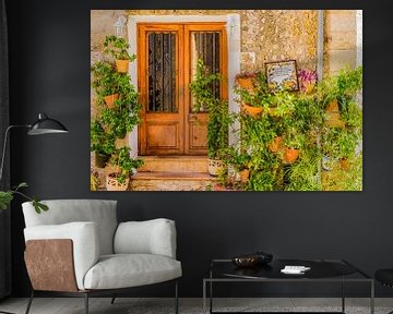 Plantes en pot typiques dans le vieux village de Valldemossa, Majorque Espagne Îles Baléares sur Alex Winter