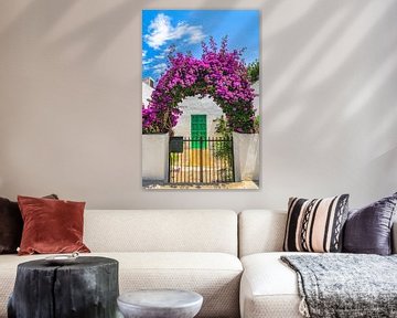 Mooie bloeiende bougainvillea plantenboog bij ingang van mediterraan huis van Alex Winter