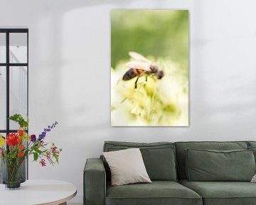 Hortus Botanicus | Botanical Garden Leiden | Flower | Pastel | Bee | Lensbaby Art Print by Gabry Zijlstra