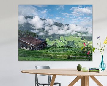 Sommerliche Almhütte in Tirol von Animaflora PicsStock